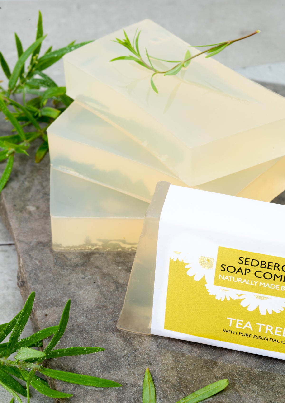 Tea Tree Soap Bar